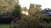 Redwood City 2br/2bat, garden, bayview, 12/14-1/5 3