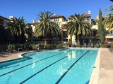 $1200 - Room Available in a 3BR/2BA in Redwood City 1