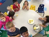 Heffalump Preschool Open for Enrollment! 3