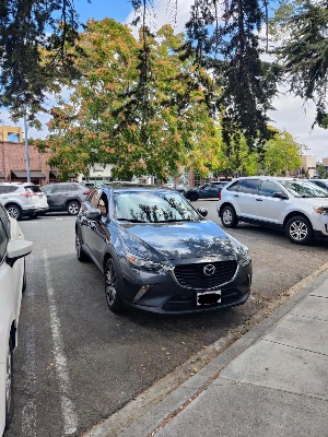 2017 MAZDA CX-3 1