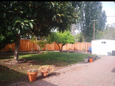 [Sunnyvale] Room Available in 4bd 2ba 4