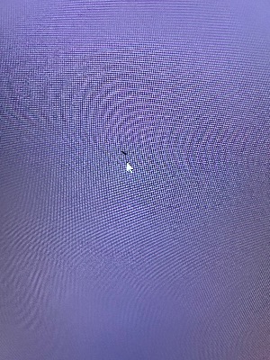 27” 1440p HP monitor 2
