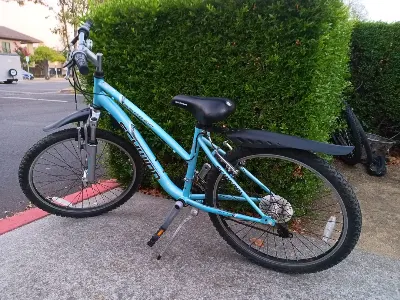 Schwinn Ranger 24" Mountain Bike (fits 4'10"–5'4") 1