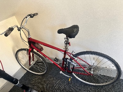 Red XL Eastwood Bike & Kryptonite U-Lock 1