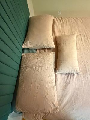 Blush queen-sized comforter set 2