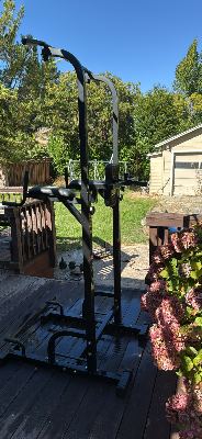 SPORTSROYALS Free Standing Pull Up Bar, Power Tower for Home Gym Training 3
