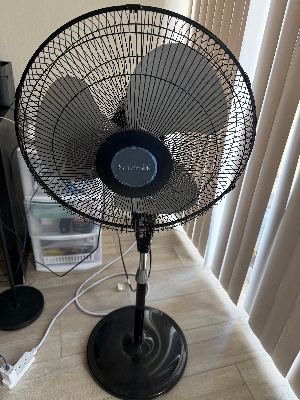 Holmes Pedestal / Standing Fans (Black & White)  1 for $15  Both for $30 1