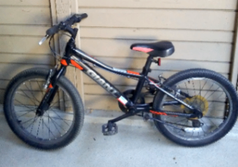 2 great kids' mountain bikes 2