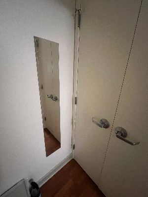Narrow full-lenght mirror 1