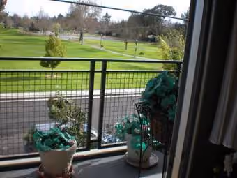 Park-view furnished room Palo Alto, Postdocs and Stanford Medical, close to Tesla! 1