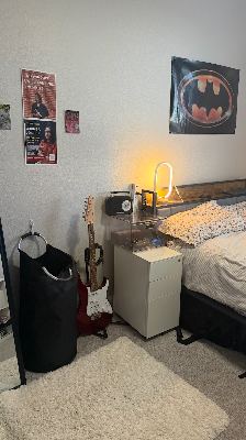 1bd1ba Room in 2bd2ba in San Carlos 3