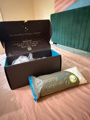 DreamyBlue Shredded Memory Foam Pillow - $25 3