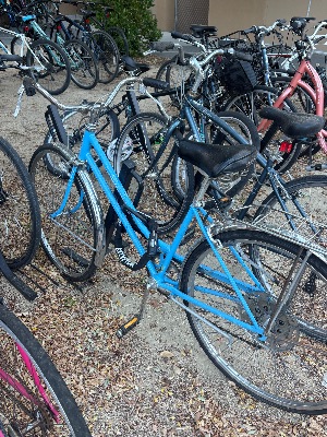 Schwinn Collegiate Vintage Steel Ladies Bike, 5-Speed blue - KGVE 4