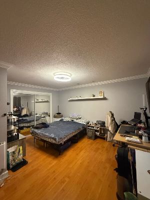 Master Bedroom - Furnished - for rent in 2br Apartment - Avail October 4th 2