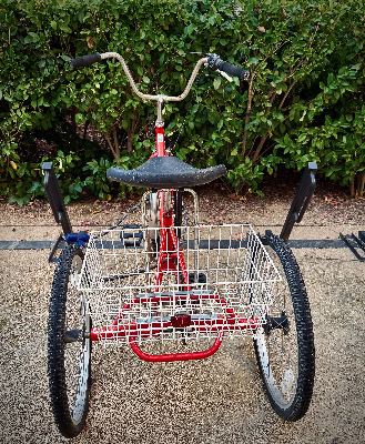 *RARE* Miami Sun Red Adult Cargo Trike 3