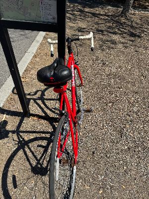 Schwinn Road Bike Single Speed 2