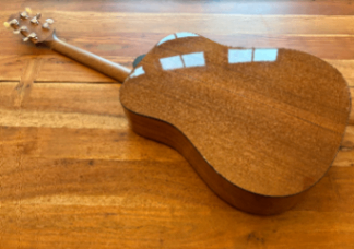 Takamine G Series acoustic guitar 2