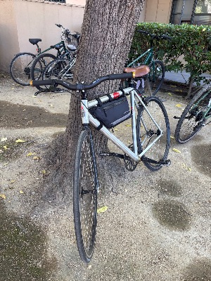 Silver Dawes Bike 3