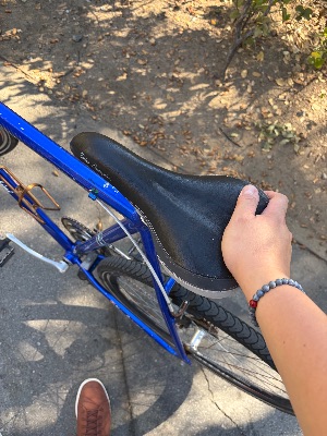 Bianchi Urbano Bike – $120 3