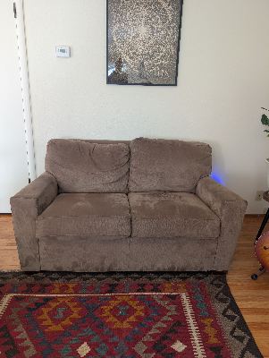 2 Quality Couches (1 couch converts to sleeper) 2