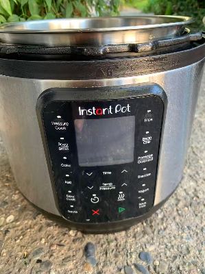 Instant Pressure Cooker 2