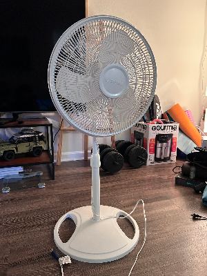 Moving-out sale 2