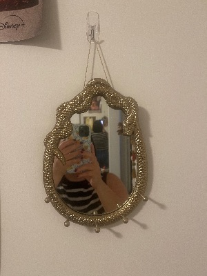 Snake Mirror 1
