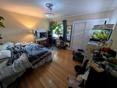 Sublet - private room in bright, beautiful house with huge yard, pool, hot tub, sauna 2