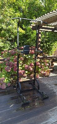 SPORTSROYALS Free Standing Pull Up Bar, Power Tower for Home Gym Training 1
