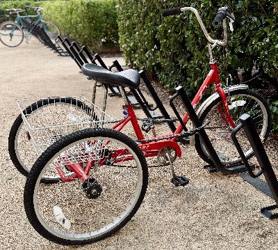 *RARE* Miami Sun Red Adult Cargo Trike 2