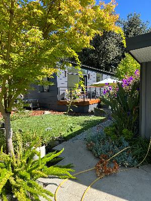 ADU Rental in Midtown Palo Alto (mid Nov +) 1