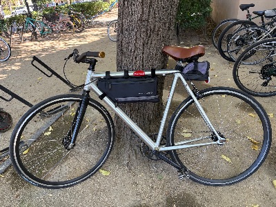 Silver Dawes Bike 2