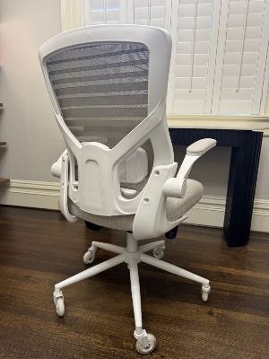 Light Gray Ergonomic Office Chair 3