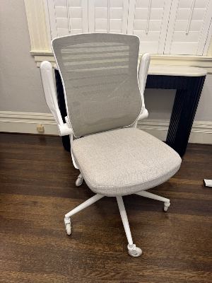 Light Gray Ergonomic Office Chair 4