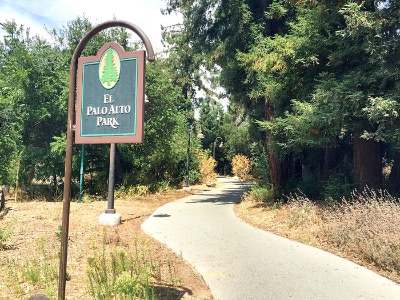 2 Bed 2 Bath Menlo Park, short bike ride to campus 3