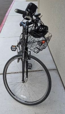 Trek Verve 1 for Sale! Has bike, lock, phone mount, lights, and bell (everything you need!) 2