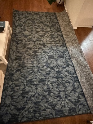 Large area rug 1