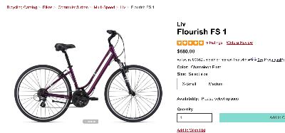 Liv Flourish FS1 bike 1