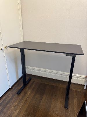 Black FlexiSpot Standing Desk 1