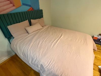 Blush queen-sized comforter set 3