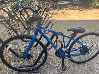Bicycle for sale 2