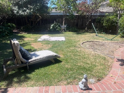 Private Room for Rent in a whimsical home in Palo Alto 2