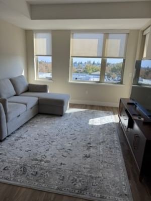 Luxury 1BR/1BA Sublease at Village Residences (Mountain View) – In San Antonio Center (Trader Joes, 3 min walk to Caltrain) 2