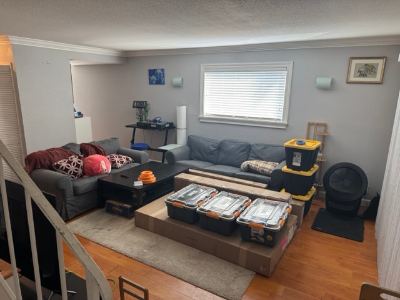 Master Bedroom - Furnished - for rent in 2br Apartment - Avail October 4th 3