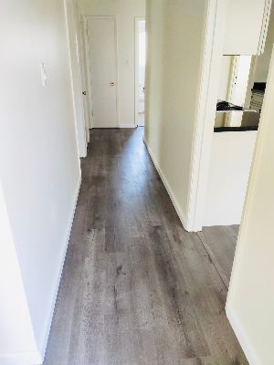 2B1B Apartment for Rent Near Stanford University Available: Now 2