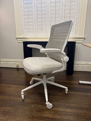 Light Gray Ergonomic Office Chair 1