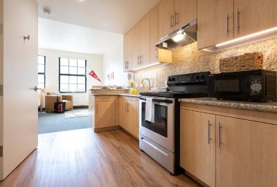 EVGR B luxury studio - subletting Dec 10-Jan 10 1