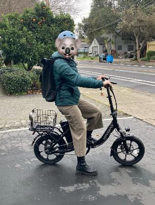 Hoverfly 16" folding electric bike - move out sale 1