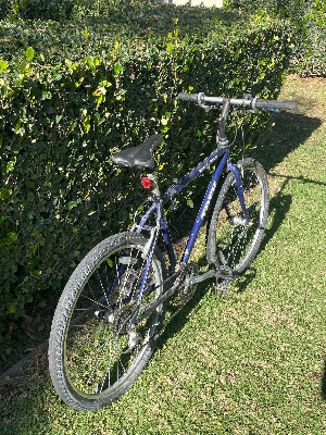 Trek bike - $220 OBO 2