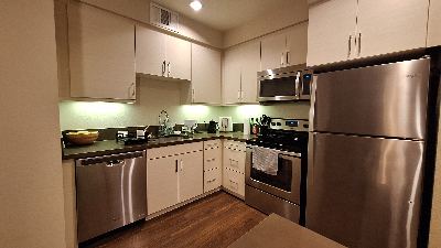 Colonnade Apartments - Furnished 1B1B in 2B2B - Female only 3